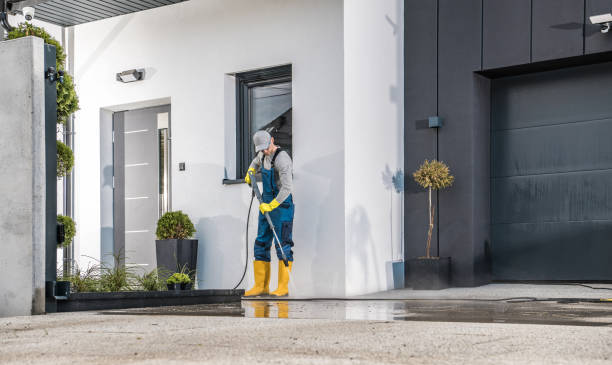 Best Pre-Holiday Cleaning  in Hamshire, TX